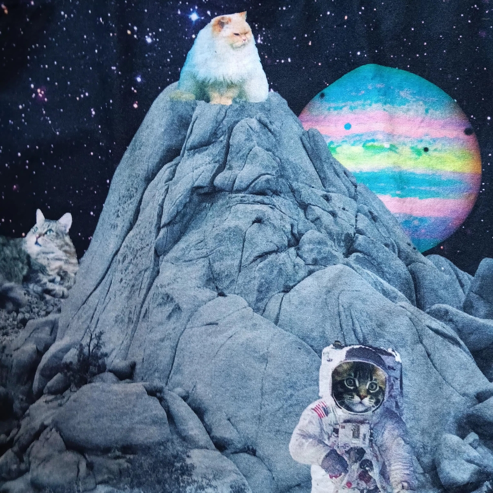 Modcloth "Take Up Space" Fit and Flare Cats Kittens in Space Dress - Picture 5 of 14